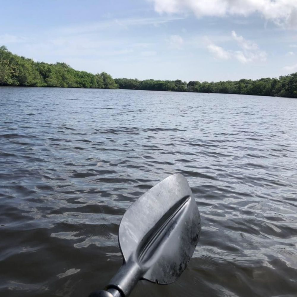 Meet your Posher, Holly